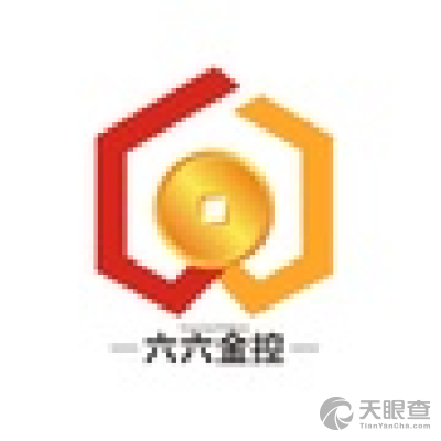 深圳市六六金投資控股 洞見資本力量，賦能產業未來